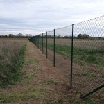 Diagonalgeflecht grün mit Rohrpfosten grün einbetoniert, Zaunteam Wienerwald, Unter-Oberndorf, 2273 Hohenau an der March Diagonalgeflecht grün mit Rohrpfosten grün einbetoniert wurde in Hohenau an der March von Zaunteam Wienerwald, Unter-Oberndorf im Jahr 2025 erstellt.