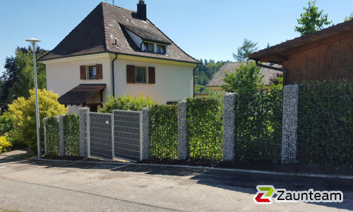 Hecke am laufenden Meter / Rohrpfosten grün einbetoniert wurde in Lottstetten von Zaunteam Granacher, Lauchringen im Jahr 2015 erstellt.