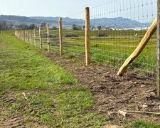 Knotengitter Tornado mit Robinienpfosten roh wurde in Wädenswil von Zaunteam Zürich, Dietikon im Jahr 2025 erstellt.