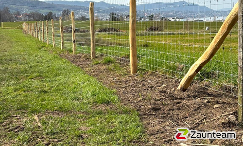 Knotengitter Tornado mit Robinienpfosten roh wurde in Wädenswil von Zaunteam Zürich, Dietikon im Jahr 2025 erstellt.