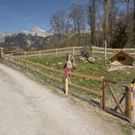 Holzzäune weitere wurde in Hofstetten bei Brienz von Zaunteam Berner Oberland, Ringgenberg im Jahr 2017 erstellt.