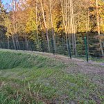 Doppelstabmatten schwer vorverzinkt und grün beschichtet mit Pfosten 60 x 40 mit Abdeckleisten einbetoniert wurde in Baumgartenberg von Zaunteam Unteres-Mühlviertel, Bad Zell im Jahr 2025 erstellt.