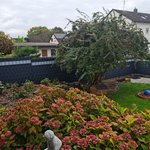 Flechtfix Vario Sichtschutz RAL Standardfarben wurde in Oberhausen von Zaunteam Schwetzingen-Bruchsal, Oberhausen  im Jahr 2025 erstellt.