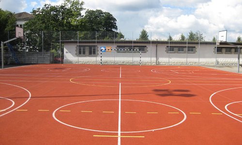 Ballfang Doppelstab mit Pfosten verzinkt und Abdeckleisten wurde in Zürich von Zaunteam Neftenbach, Neftenbach im Jahr 2010 erstellt.