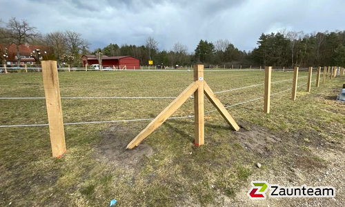 Kordelzaun mit Robinienpfosten vierkant wurde in Sassenburg von Zaunteam Südheide-Altmark, Hankensbüttel im Jahr 2023 erstellt.