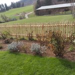 Natur-Staketenzaun aus Kastanie wurde in Wiesing von Zaunteam Tirol Unterland, Schwoich im Jahr 2026 erstellt.