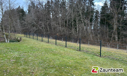 Doppelstabmatten schwer vorverzinkt und anthrazit beschichtet mit Pfosten 60 x 40 mit Abdeckleisten einbetoniert wurde in Grünkraut von Zaunteam Oberschwaben, Obermarchtal im Jahr 2026 erstellt.