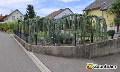 Doppelstabmatten leicht feuerverzinkt und anthrazit beschichtet mit Pfosten 60 x 40 mit Abdeckleisten in Aussparung wurde in Windisch von Zaunteam Aargau, Egliswil im Jahr 2024 erstellt.