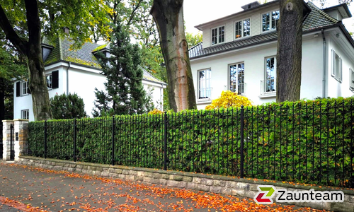 Klassikzaun Herakles wurde in Hannover von Zaunteam Hannover, Hannover im Jahr 2024 erstellt.
