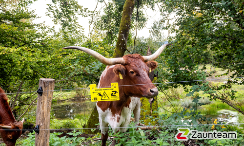 Elektrofestzaun mit Robinienpfosten vierkant wurde in Holziken von Zaunteam Willimann, Eich im Jahr 2024 erstellt.
