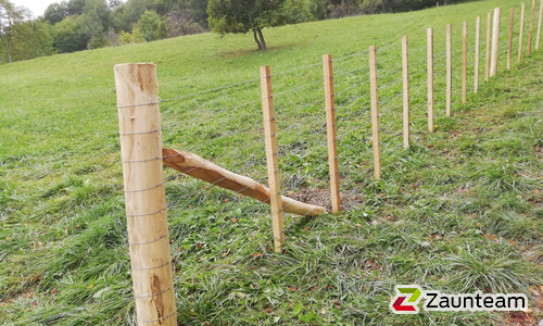 Kiwi-Zaun mit Robinienpfosten rund wurde in Laaben von Zaunteam Wienerwald, Unter-Oberndorf im Jahr 2023 erstellt.