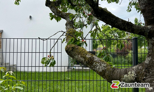 Doppelstabmatten schwer feuerverzinkt und anthrazit beschichtet mit Pfosten 60 x 40 mit Abdeckleistenmit Fussplatte wurde in Schlierbach von Zaunteam Fenzhöfe Oberwälden, Oberwälden im Jahr 2025 erstellt.
