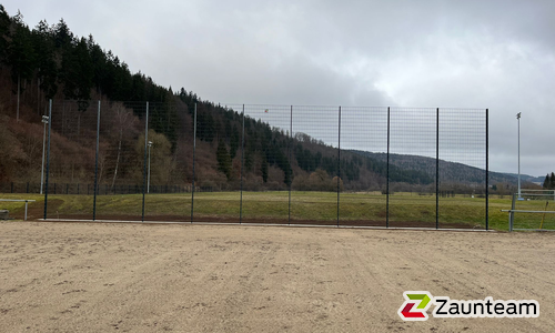 Ballfang Doppelstab mit Pfosten anthrazit und Abdeckleisten wurde in Tuttlingen von Zaunteam Obere Donau-Bodensee, Sauldorf-Krumbach im Jahr 2025 erstellt.