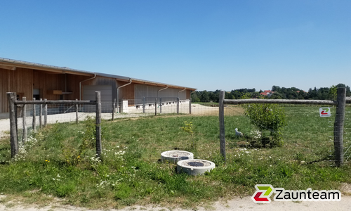 Knotengitter Torus, engmaschig mit Robinienpfosten rund wurde in Steinach von Zaunteam Ammersee, Hofstetten im Jahr 2024 erstellt.