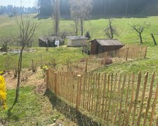 Kastanienzaun wurde in Rohrbachgraben von Zaunteam Mittelland, Bützberg im Jahr 2026 erstellt.