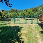 Doppelstabmattentor 2-flüglig wurde in Idar-Oberstein von Zaunteam Saar-Pfalz, Bruchmühlbach-Miesau im Jahr 2026 erstellt.