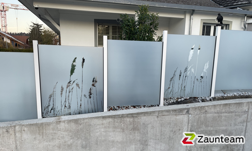 Glas Sichtschutz mit vierkant Aluminium-Nutpfosten einbetoniert wurde in Meisterschwanden von Zaunteam Aargau, Egliswil im Jahr 2025 erstellt.