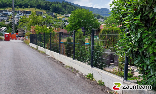 Doppelstabmatten schwer vorverzinkt und anthrazit beschichtet mit Pfosten 40x60 mit Abdeckleistenmit Fussplatte wurde in Buchs von Zaunteam Werdenberg, Werdenberg im Jahr 2023 erstellt.