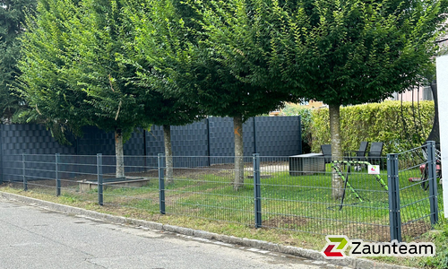 Doppelstabmatten schwer vorverzinkt und anthrazit beschichtet mit Pfosten 60 x 40 mit Abdeckleisten einbetoniert wurde in Tübach von Zaunteam Rheintal, Widnau im Jahr 2024 erstellt.