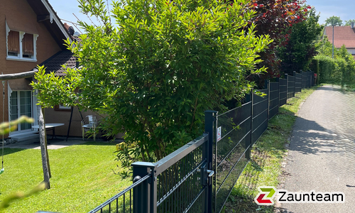 Doppelstabmatten leicht feuerverzinkt und anthrazit beschichtet mit Pfosten 60 x 40 mit Abdeckleisten einbetoniert wurde in Heiden von Zaunteam Appenzellerland, Wasserauen im Jahr 2025 erstellt.