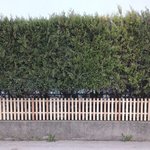 Lärchenzaun Holz vor die Pfosten mit T-Stahlpfosten verzinkt einbetoniert wurde in Neulengbach von Zaunteam Wienerwald, Unter-Oberndorf im Jahr 2026 erstellt.