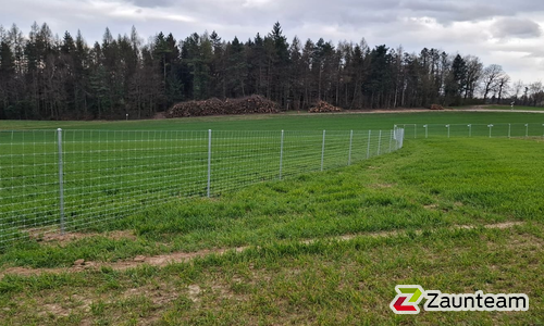Knotengitter Tornado mit Rohrpfosten verzinkt einbetoniert wurde in Veltheim von Zaunteam Aargau, Egliswil im Jahr 2026 erstellt.