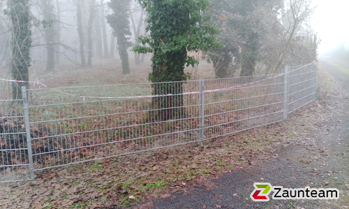 Doppelstabmatten leicht verzinkt mit Pfosten 40x60 verzinkt mit Abdeckleisten einbetoniert wurde in Eisenberg an der Pinka  von Zaunteam Oststeiermark, Grafendorf bei Hartberg im Jahr 2025 erstellt.