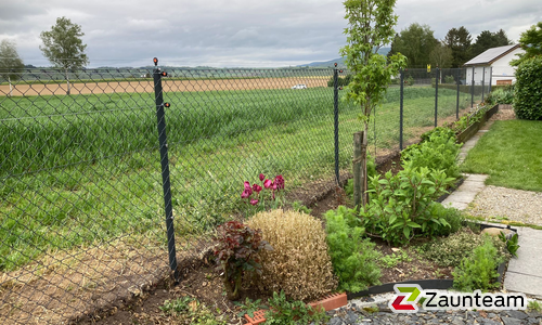 Diagonalgeflecht anthrazit mit Rohrpfosten anthrazit einbetoniert wurde in Neunkirch von Zaunteam Neftenbach, Neftenbach im Jahr 2025 erstellt.