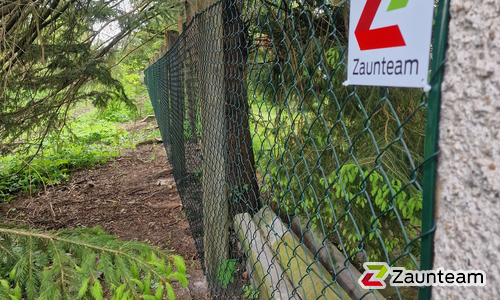 Diagonalgeflecht weitere wurde in Straubing von Zaunteam Regen, Regen im Jahr 2024 erstellt.