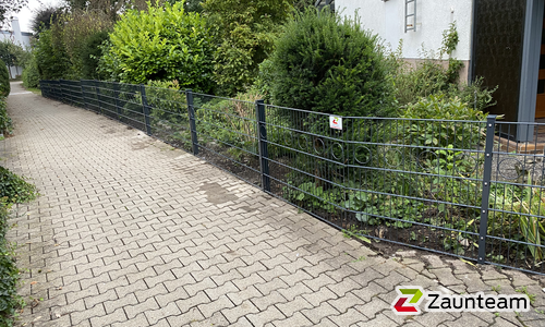 Deko-Doppelstabmatten Berlin anthrazit mit Pfosten 40x60 anthrazit und Abdeckleisten einbetoniert wurde in Munderkingen von Zaunteam Oberschwaben, Obermarchtal im Jahr 2021 erstellt.