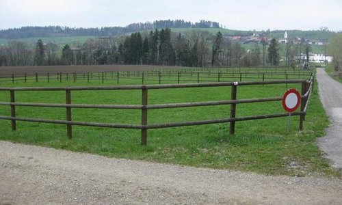 Halbrundlattenzaun mit Lärchenkantpfosten braun wurde in Thundorf von Zaunteam Thurgau AG, Felben im Jahr 2009 erstellt.