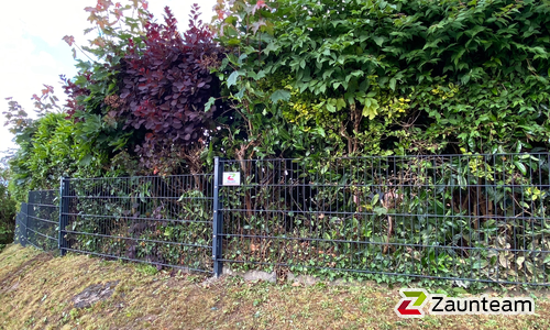 Doppelstabmatten leicht vorverzinkt und anthrazit beschichtet mit Pfosten 60 x 40 mit Abdeckleisten einbetoniert wurde in Lübbecke von Zaunteam Kischkel, Lübbecke im Jahr 2020 erstellt.