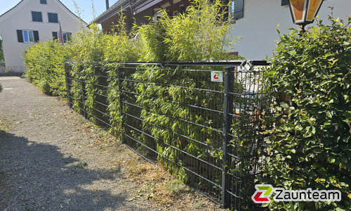 Doppelstabmatten schwer feuerverzinkt und anthrazit beschichtet mit Pfosten 60 x 40 mit Abdeckleisten einbetoniert wurde in Frauenfeld von Zaunteam Toggenburg, Ebnat-Kappel im Jahr 2026 erstellt.
