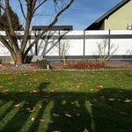 System Alu Sichtschutz, light XL mit Alupfosten einbetoniert wurde in Luckenwalde von Zaunteam Fläming, Coswig im Jahr 2025 erstellt.