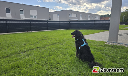 Flechtfix Vario Sichtschutz RAL Standardfarben wurde in Kapfenberg  von Zaunteam Obersteiermark-Ost, Kapfenberg im Jahr 2025 erstellt.