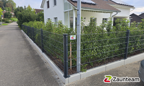 Doppelstabmatten leicht feuerverzinkt und anthrazit beschichtet mit Pfosten 60 x 40 mit Abdeckleisten mit Fussplatte wurde in Lanzenneunforn von Zaunteam Thurgau, Felben im Jahr 2025 erstellt.