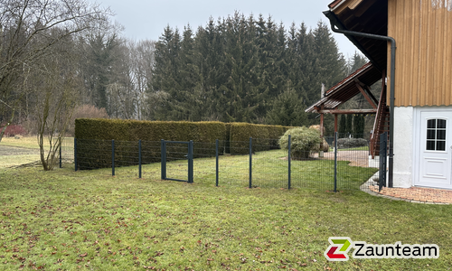 Doppelstabmatten schwer vorverzinkt und anthrazit beschichtet mit Pfosten 60 x 40 mit Abdeckleisten einbetoniert wurde in Aitrach von Zaunteam Oberschwaben, Obermarchtal im Jahr 2025 erstellt.