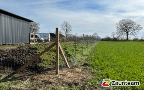 Knotengitter leicht mit Z-Profilpfosten wurde in Seedorf von Zaunteam Südostholstein, Högersdorf im Jahr 2025 erstellt.