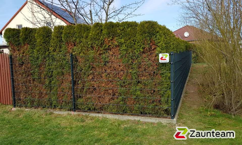 Doppelstabmatten leicht feuerverzinkt und anthrazit beschichtet mit Pfosten Vario einbetoniert wurde in Leipzig von Zaunteam Leipzig, Leipzig im Jahr 2024 erstellt.