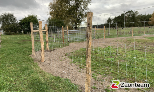 Knotengitter Tornado mit Robinienpfosten rund wurde in Ahlbeck von Zaunteam Pasewalk, Pasewalk im Jahr 2024 erstellt.